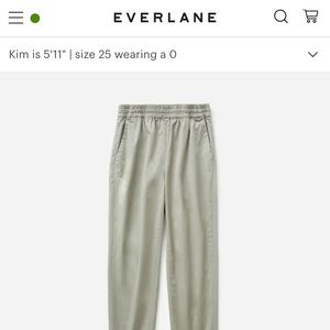 Everlane Chino Pants